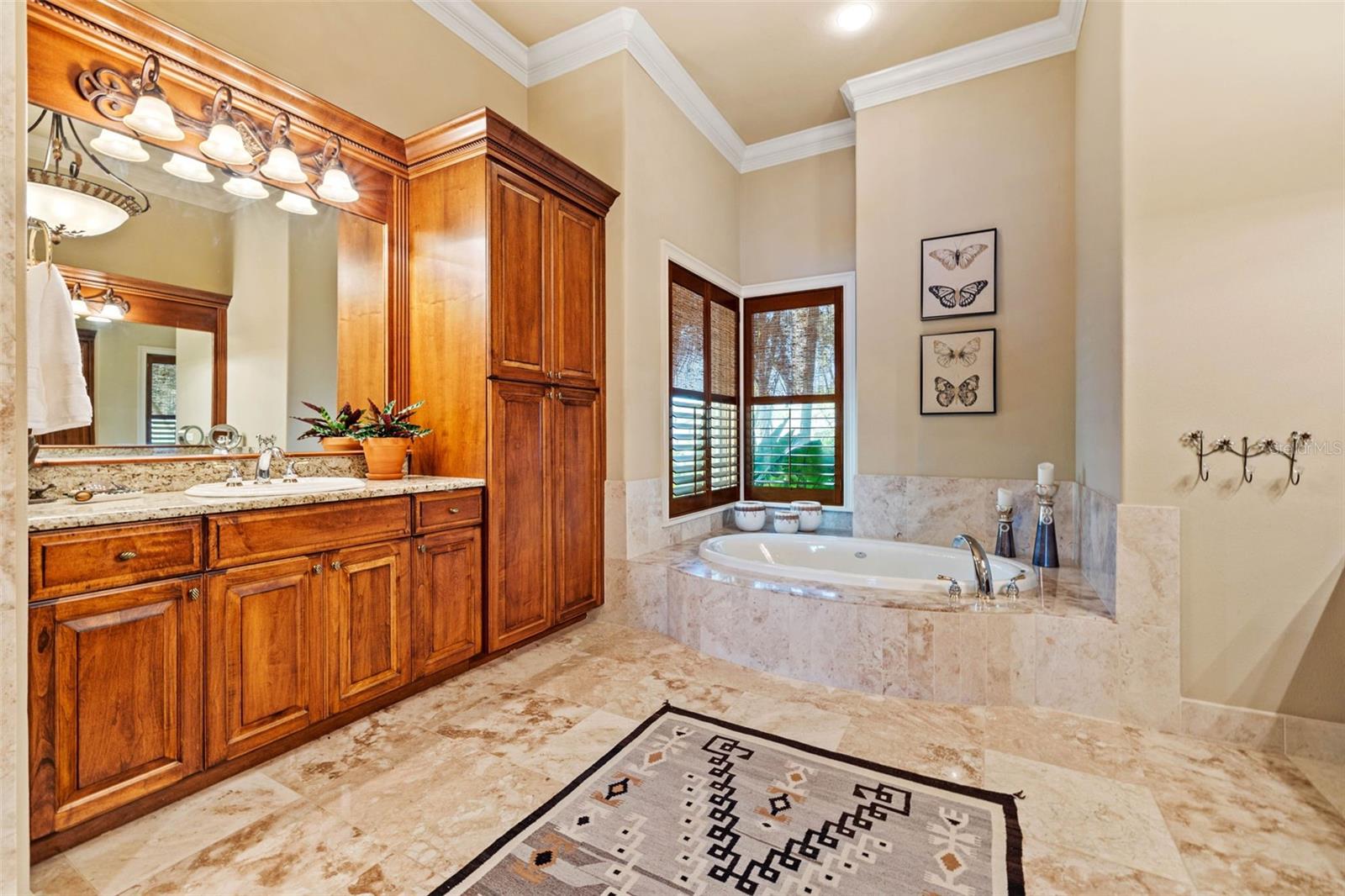 Luxurious Primary Bath with spa and shower