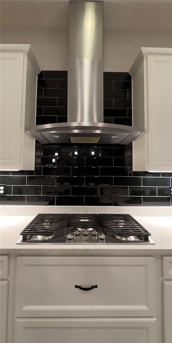 The towering hood over a 5-burner gas stove undeniably captivates