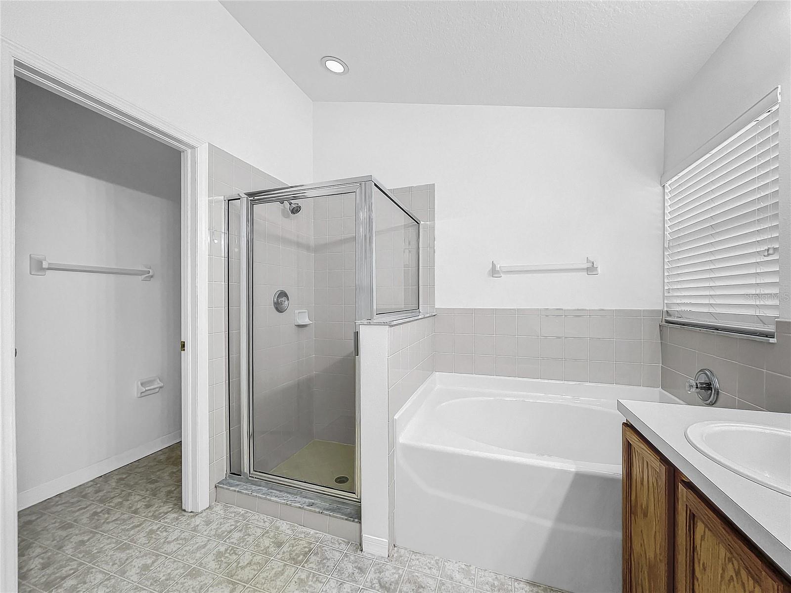 Primary Bath with Tub & Separate shower