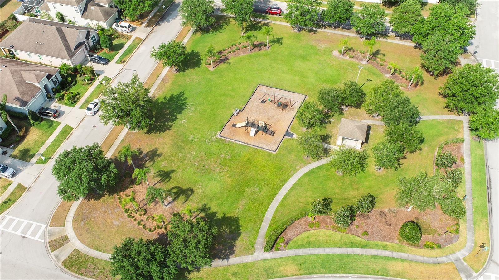 Aerial of Community Pool and Park