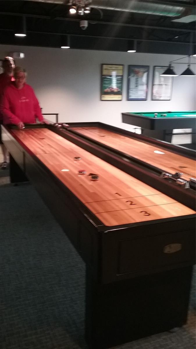 TABLE SHUFFLE BOARD GAME