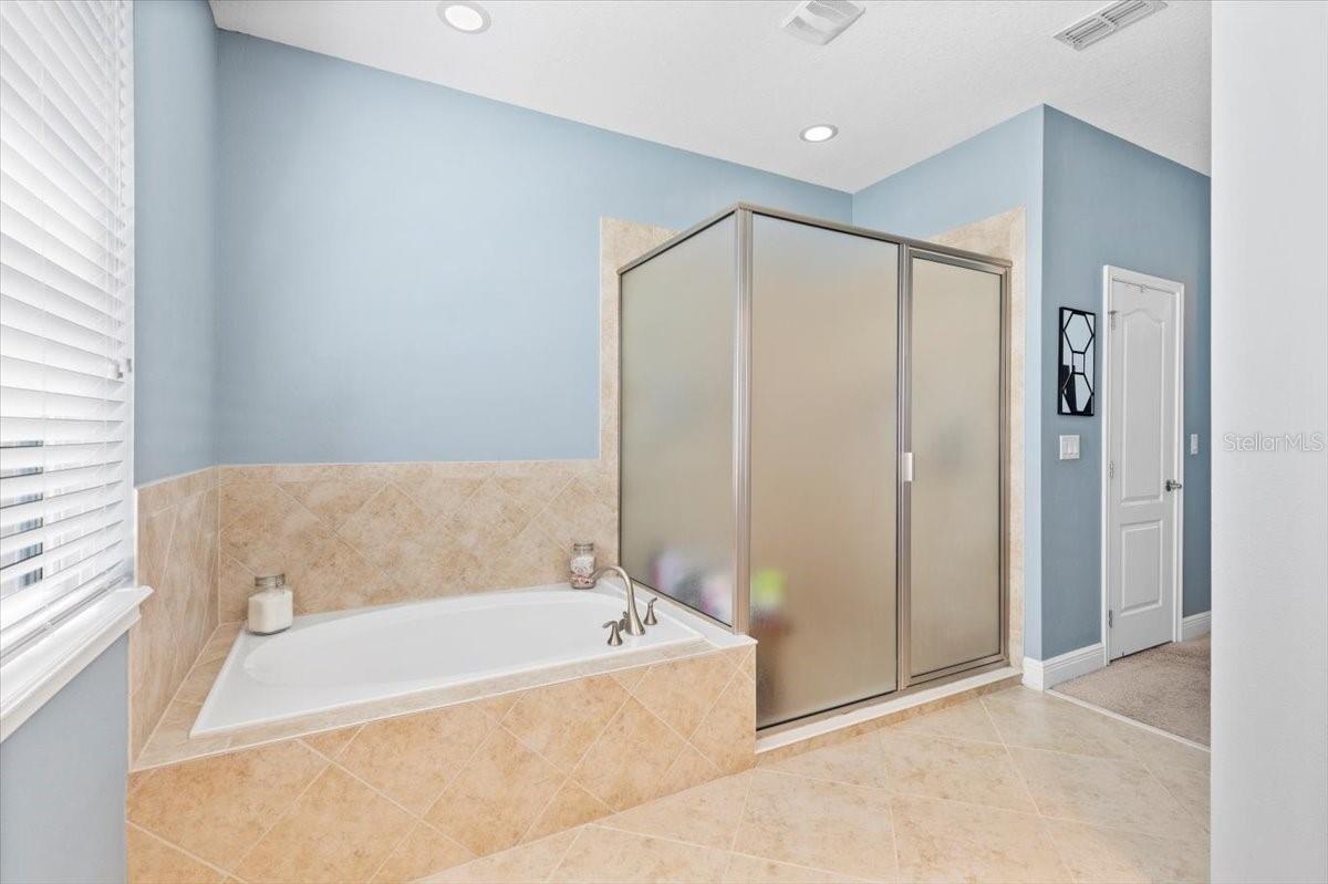 Tub and walk-in shower