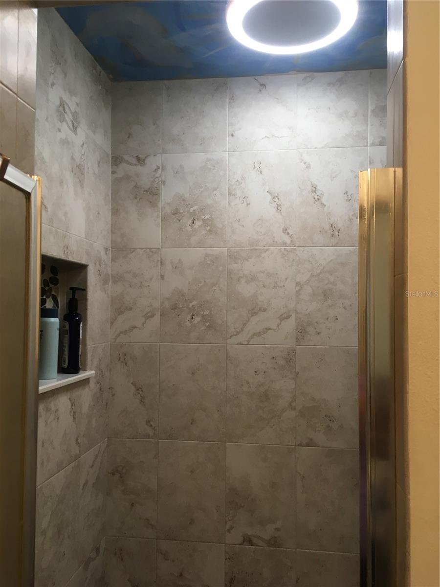 Primary bathroom shower