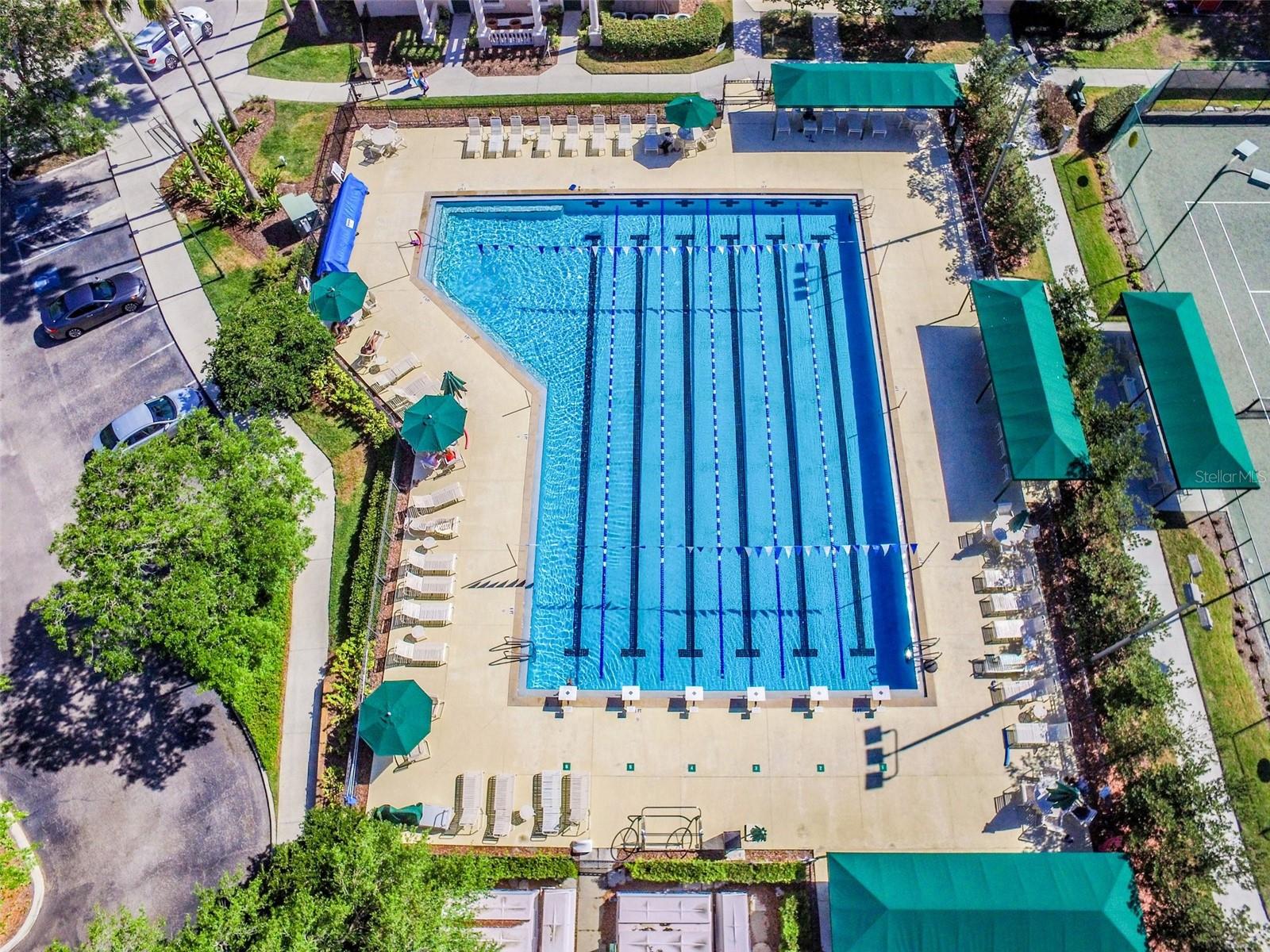 Arbor Greene Jr Olympic Size Pool