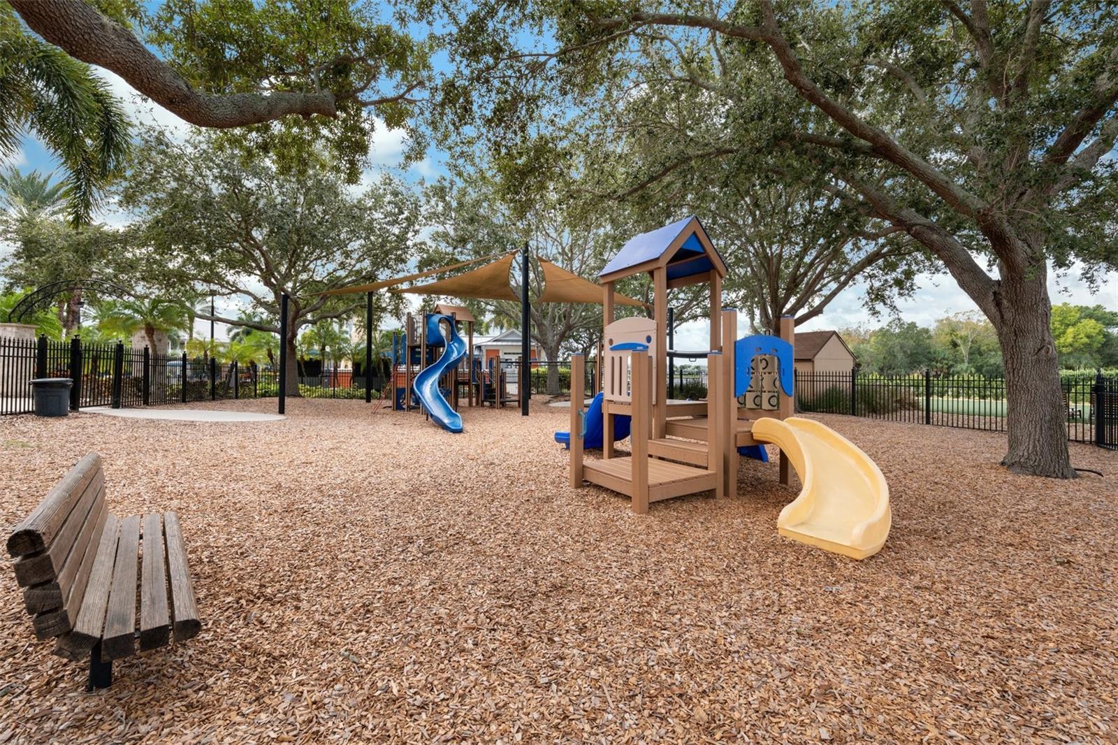 Main clubhouse playground