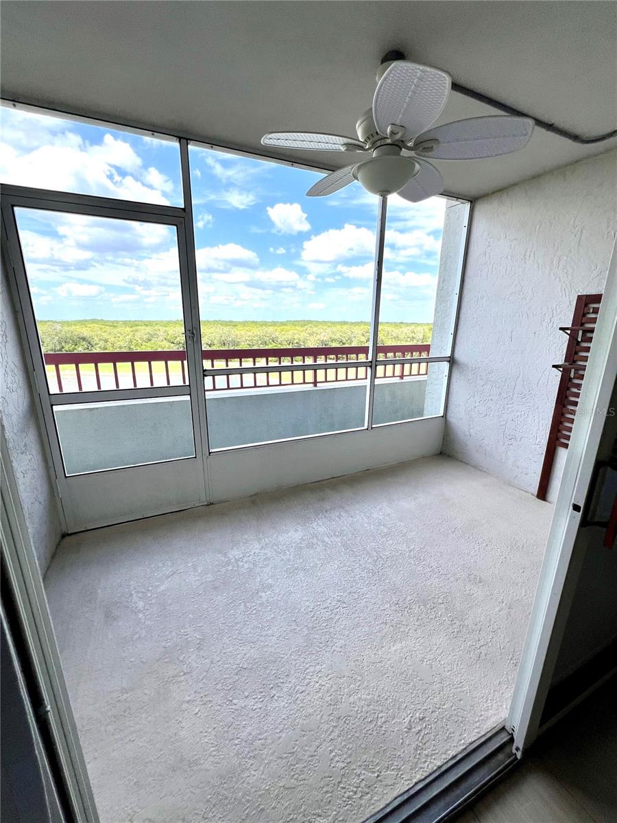 Screened lanai with outdoor ceiling fan
