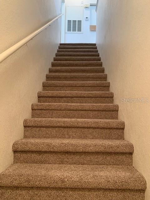 New Carpet on Stairs