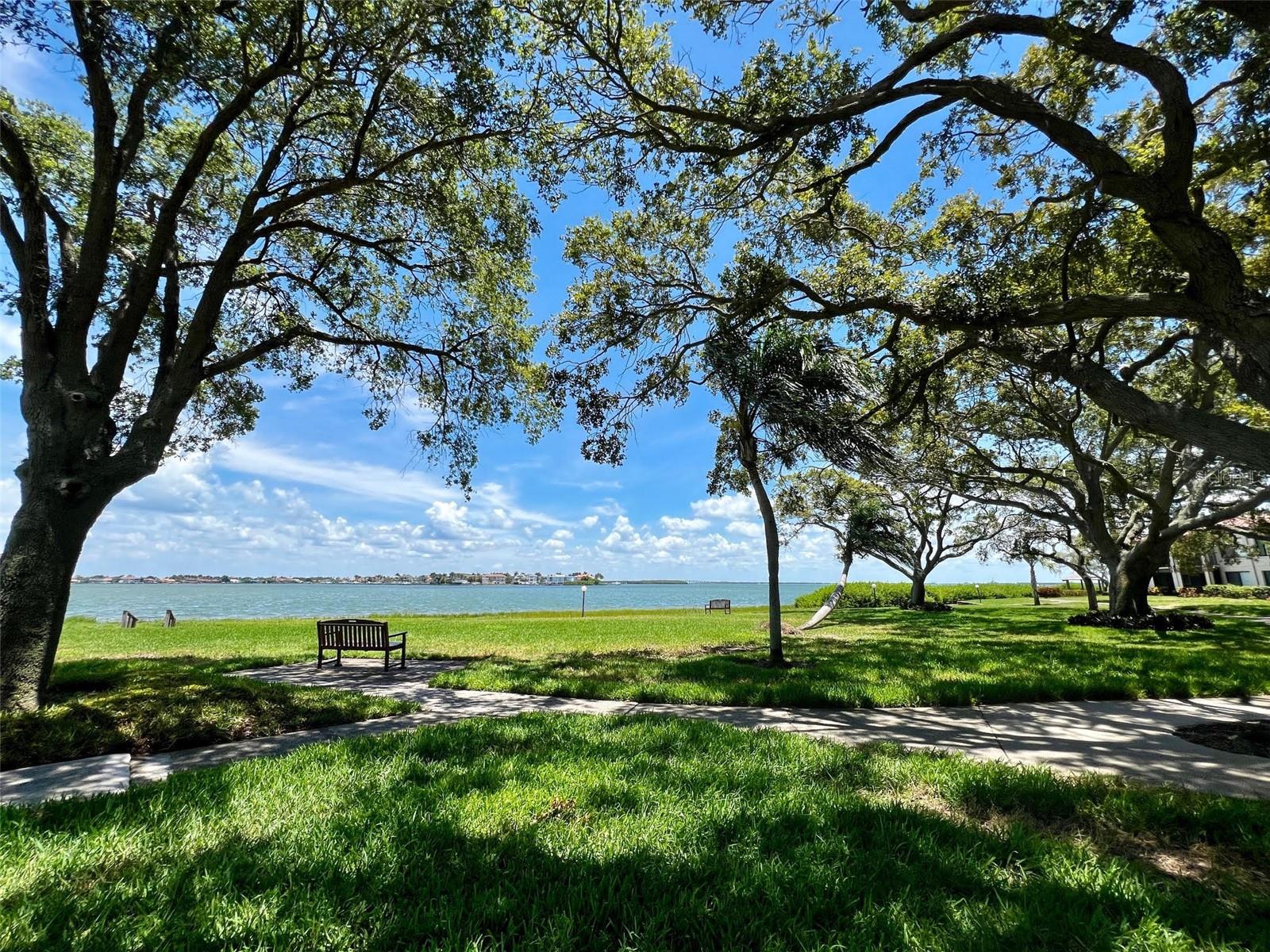 Shady area to take a seat and take in the beautiful views.