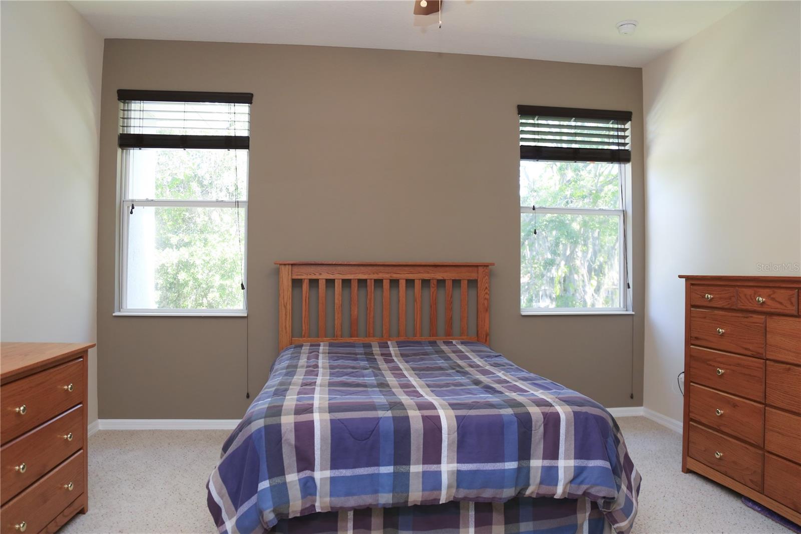 Master bedroom features two windows allowing lots of natural light throughout