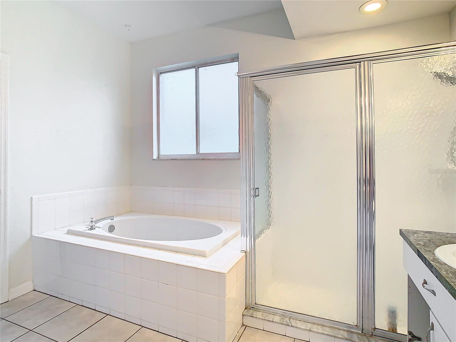 Owner's ensuite bath with garden tub and separate shower