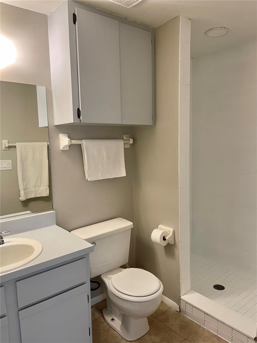 Owner's en suite with shower
