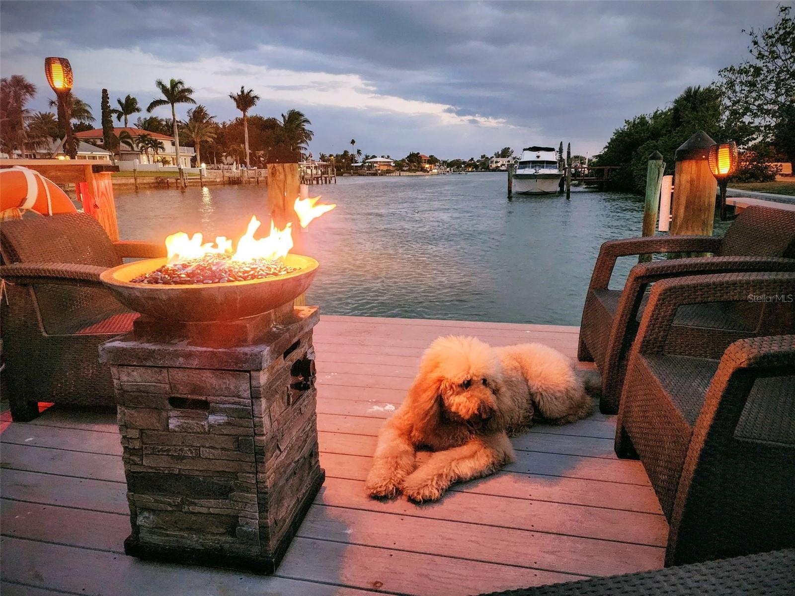 Enjoy Sunsets from your Private Dock with your Friends, Family and Furry Ones.