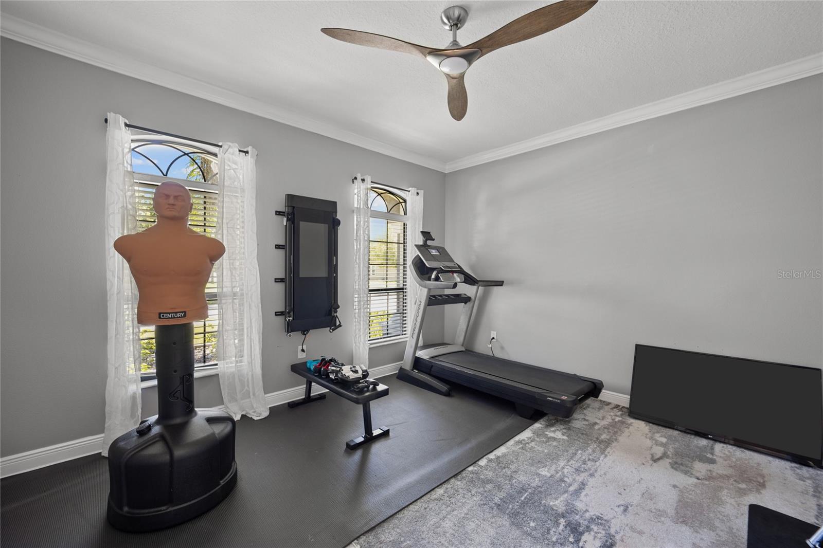 Office/Workout Room