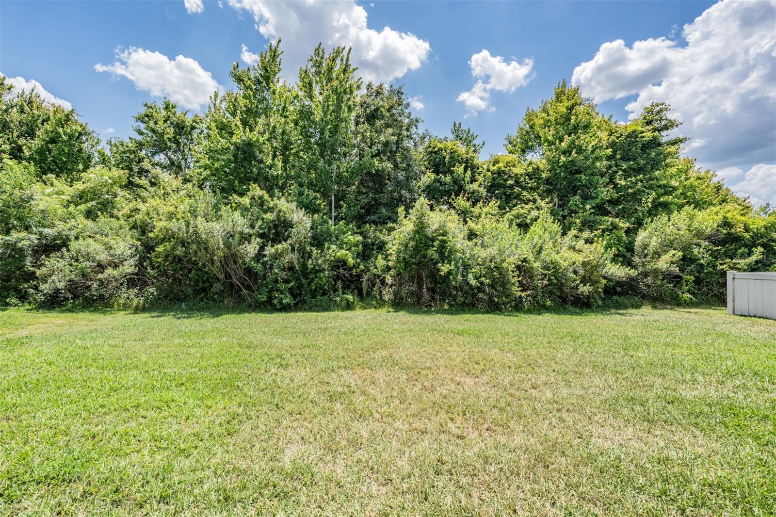 Premium PRIVATE Conservation Lot!