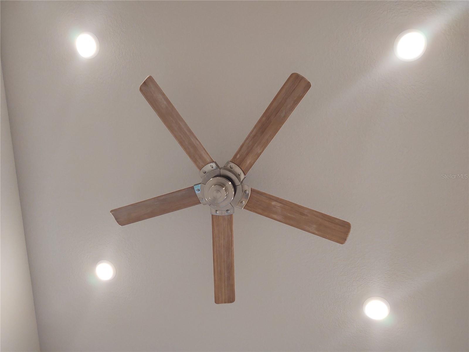 Great Room Ceiling Fan