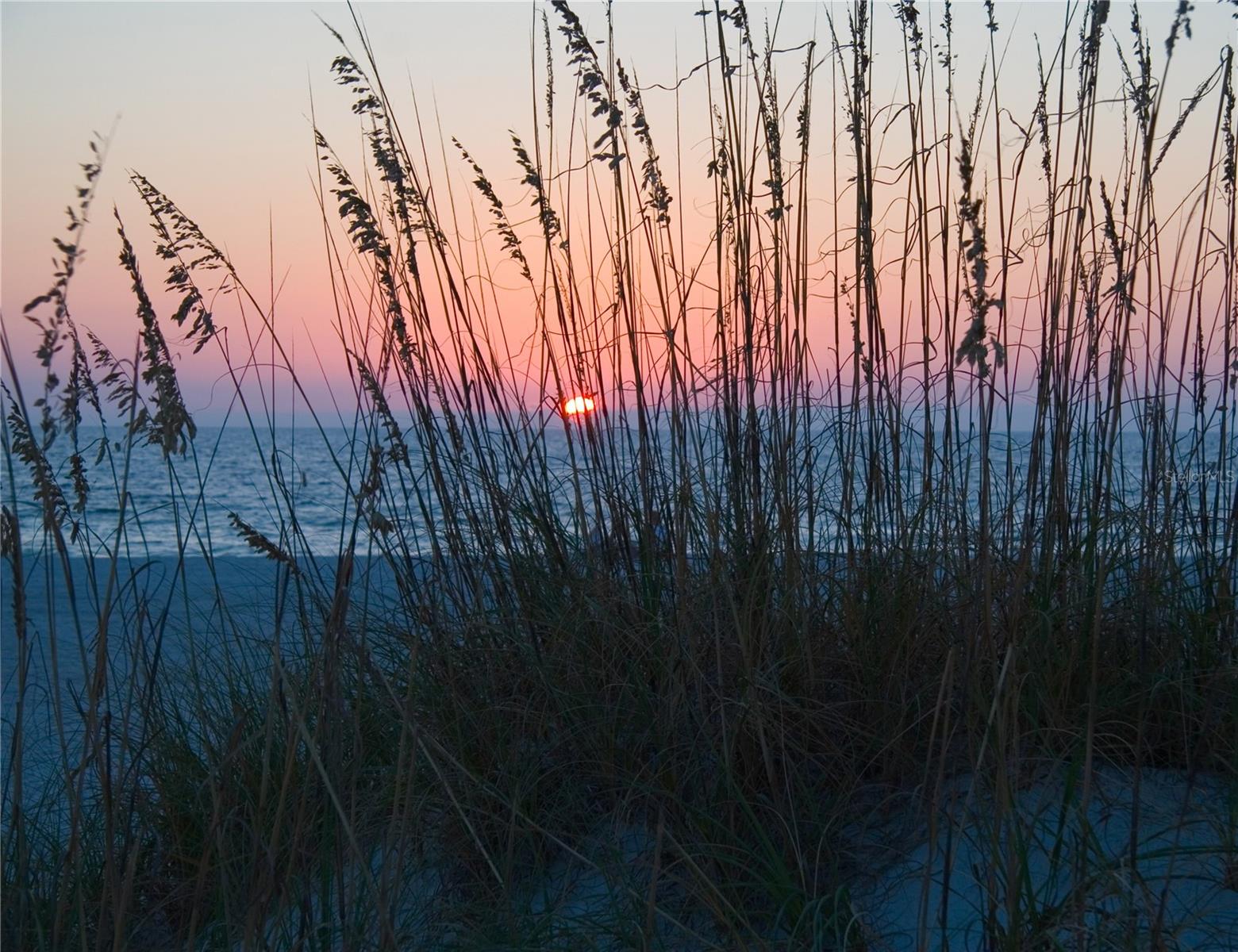 Voted best sunsets on the West Coast of FL