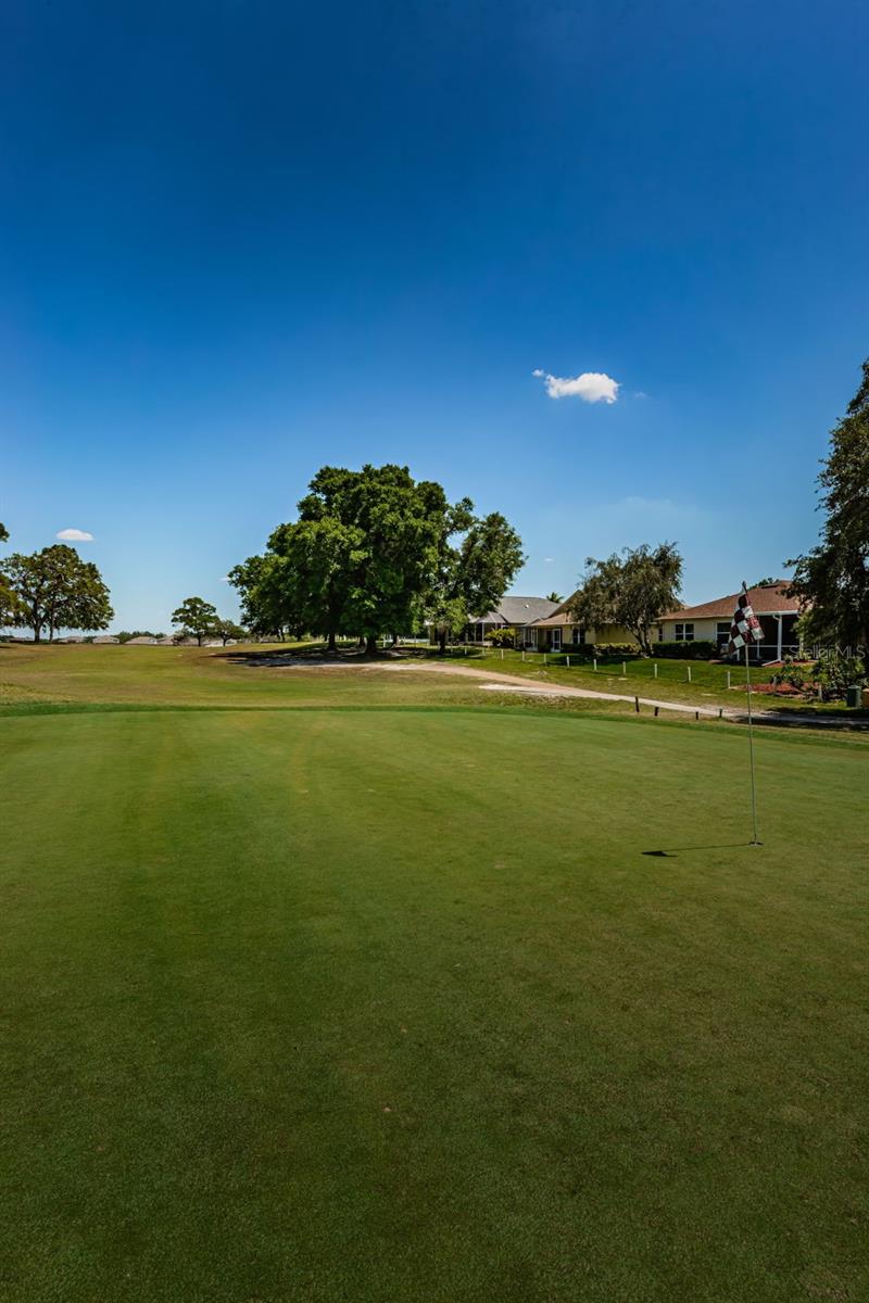 Meadow Oaks Golf Course in the backyard