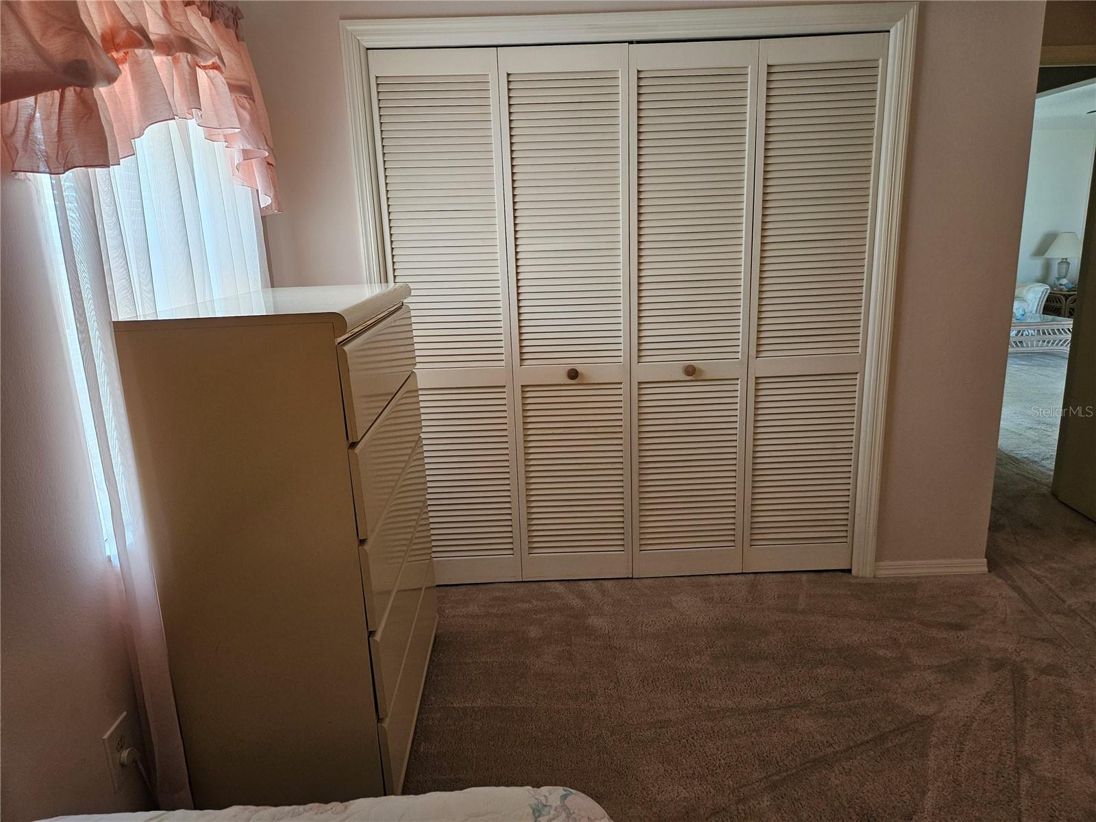 Guest bedroom Closet
