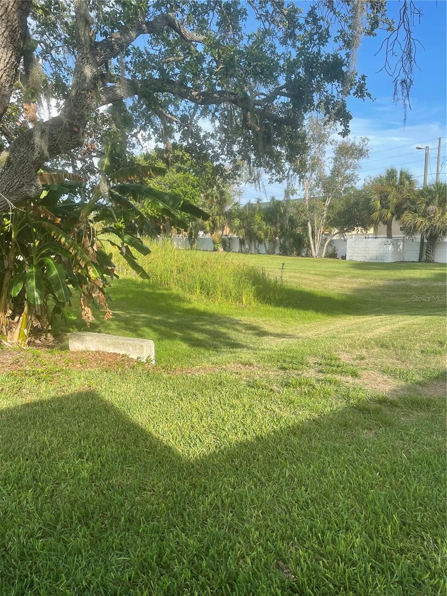 REAR RETENTION POND VIEW