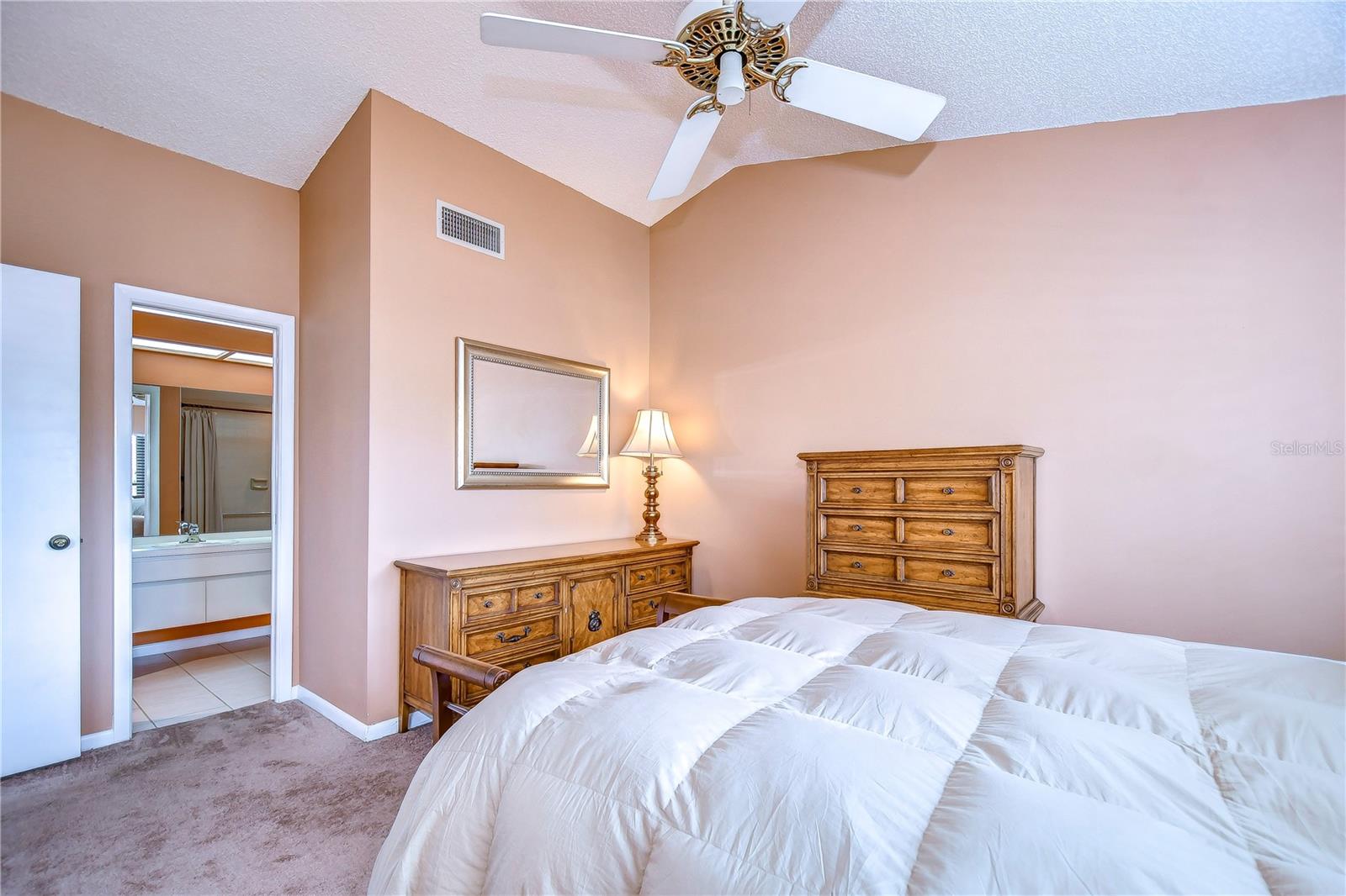 Vaulted ceiling and large closet!