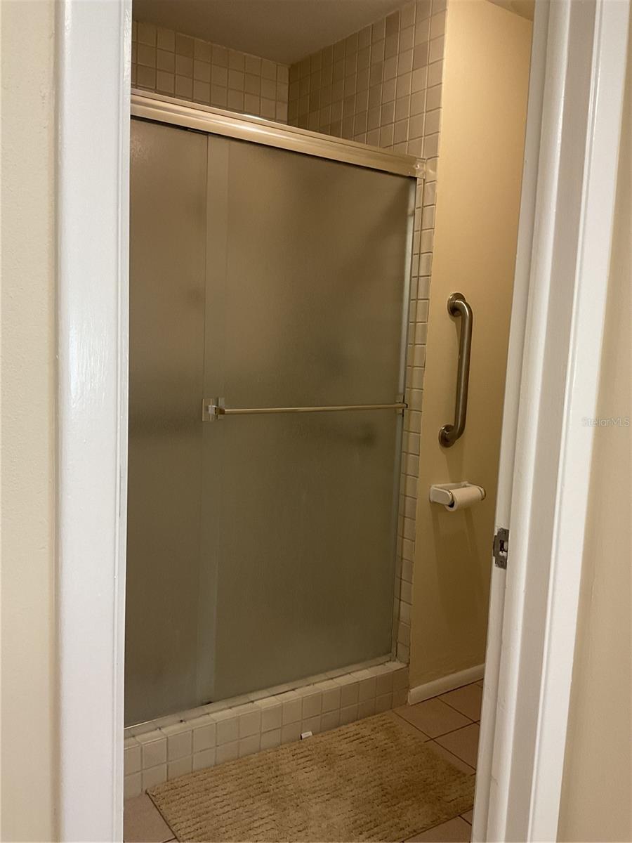 Master bath shower