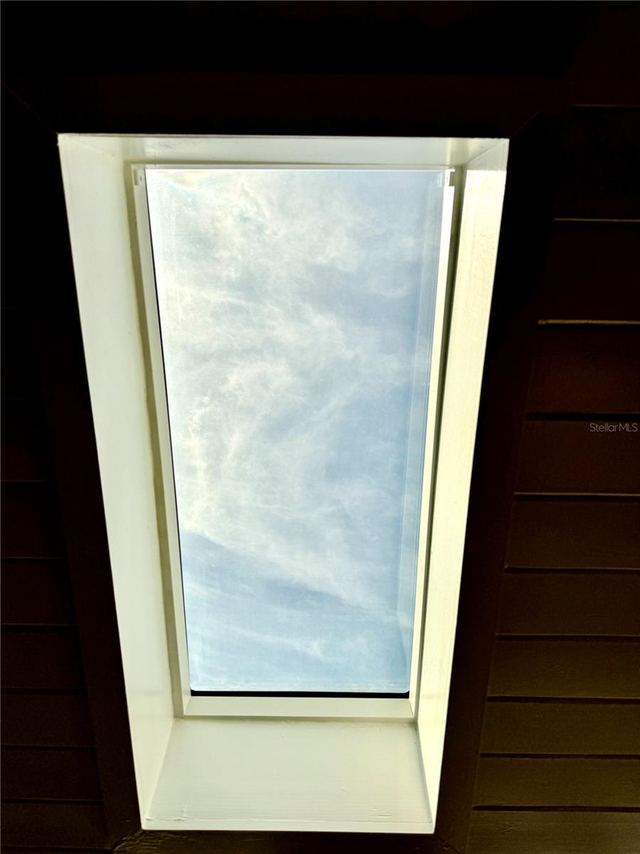 Game room skylight