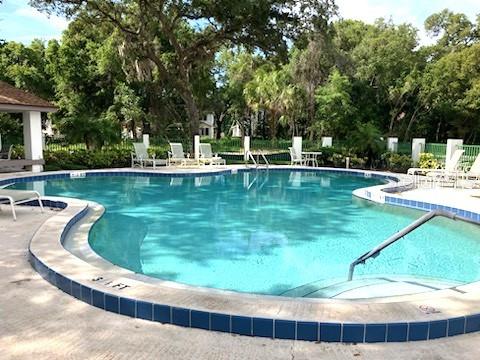 beautiful pool