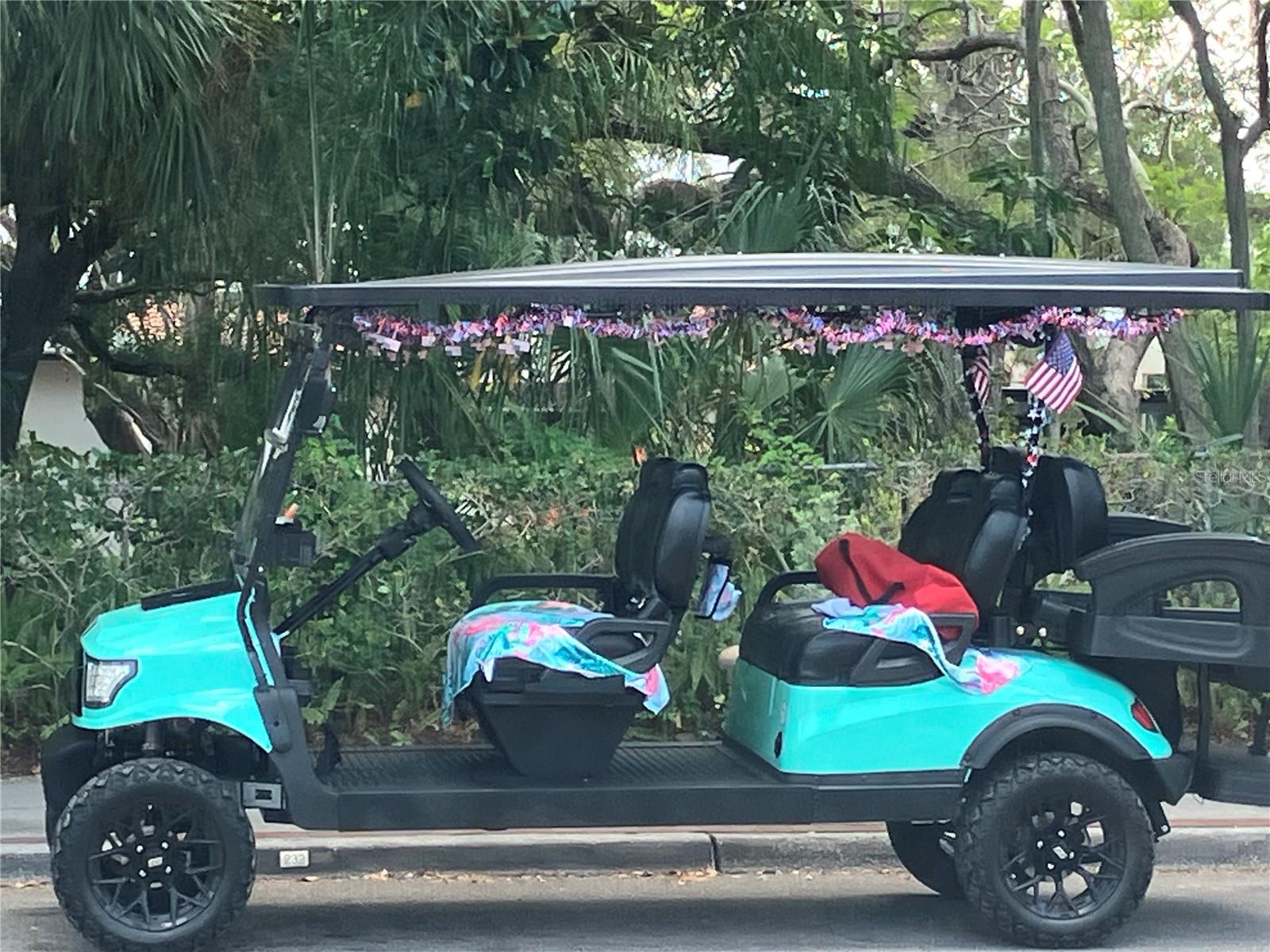 Golf cart friendly streets