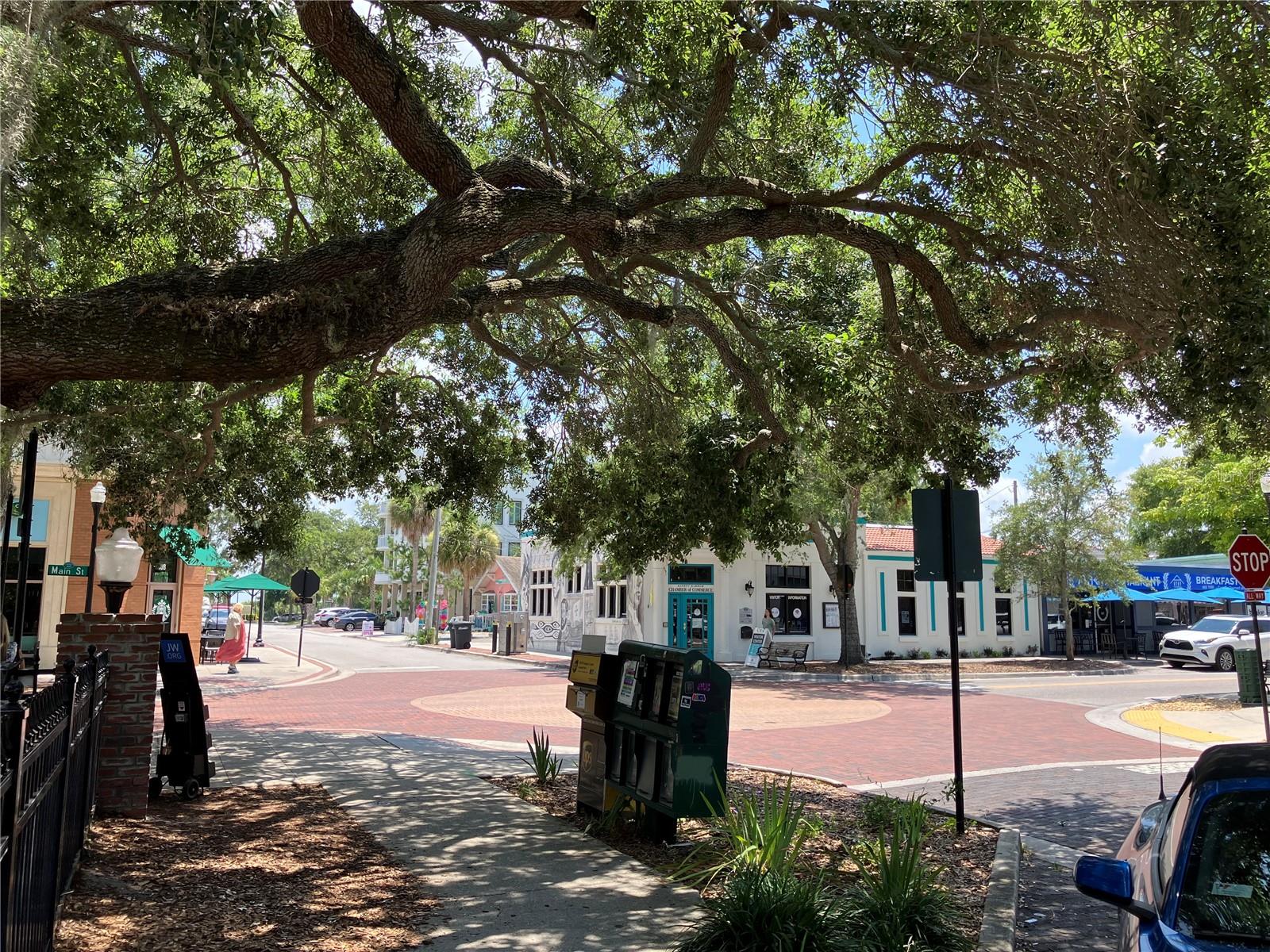 Starbucks and the chamber from under the old oak