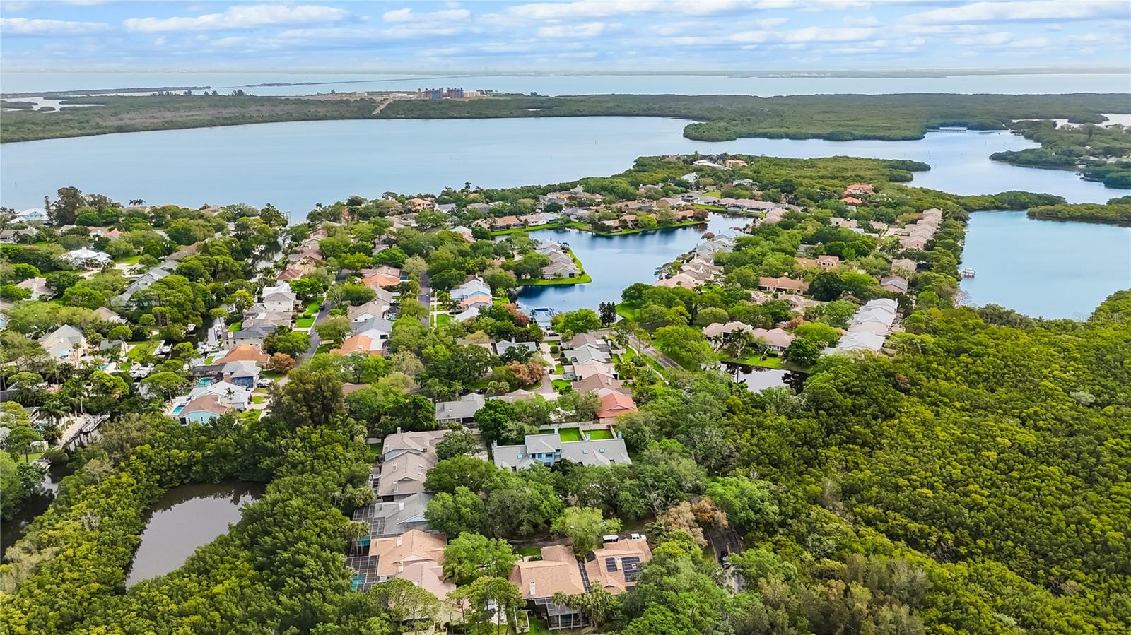 View of the proximity of neighborhood to Riviera Bay, and Tampa Bay just beyond