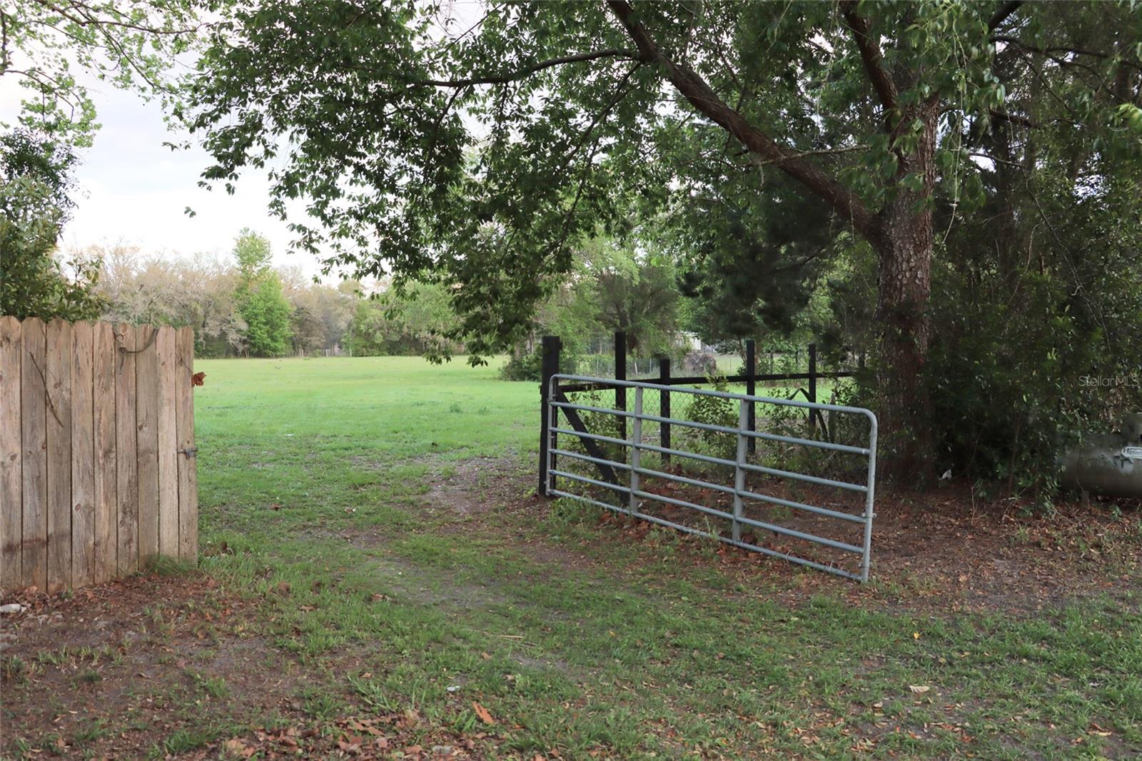 Gate to back pasture