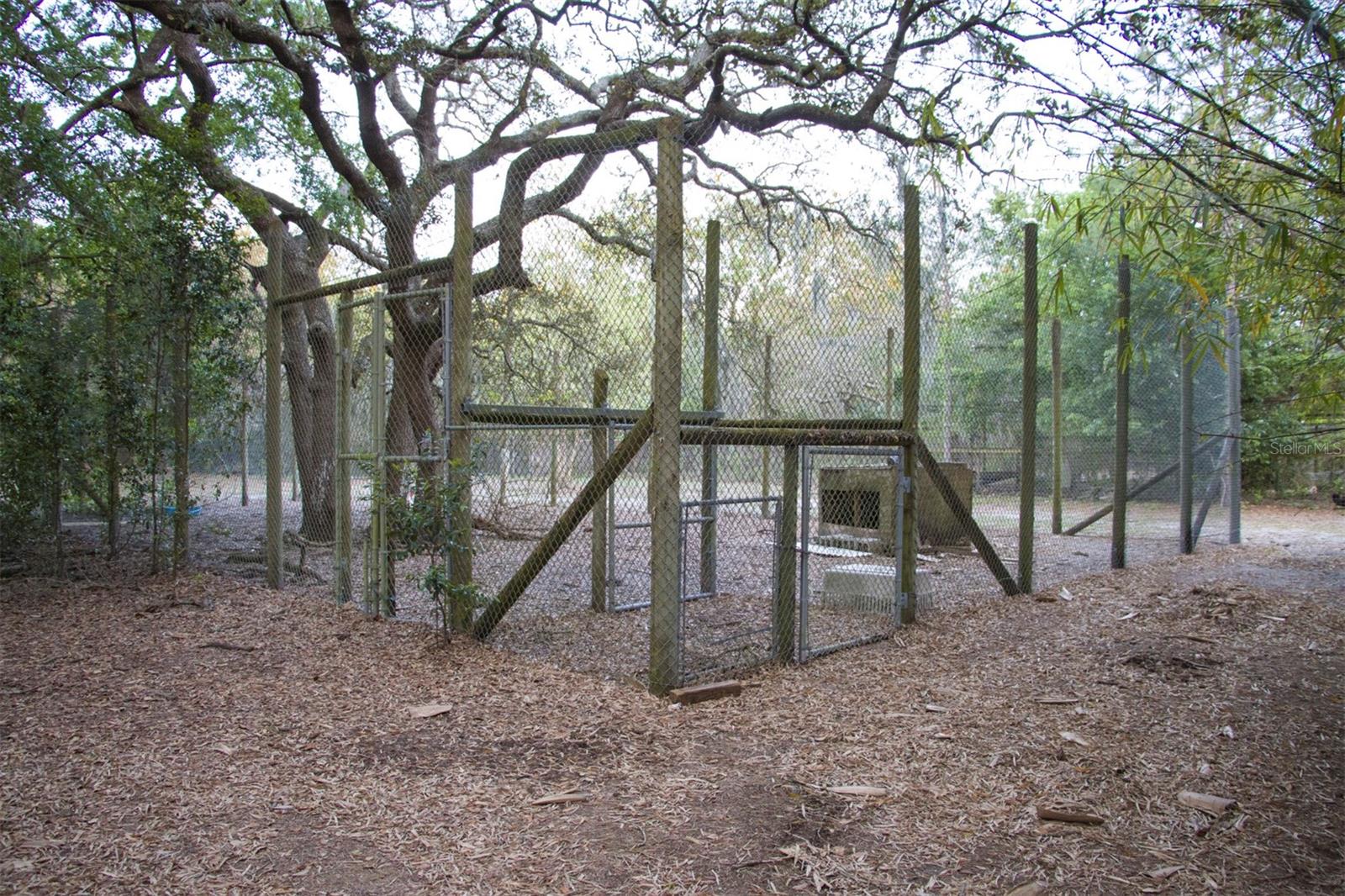Wildlife Enclosure