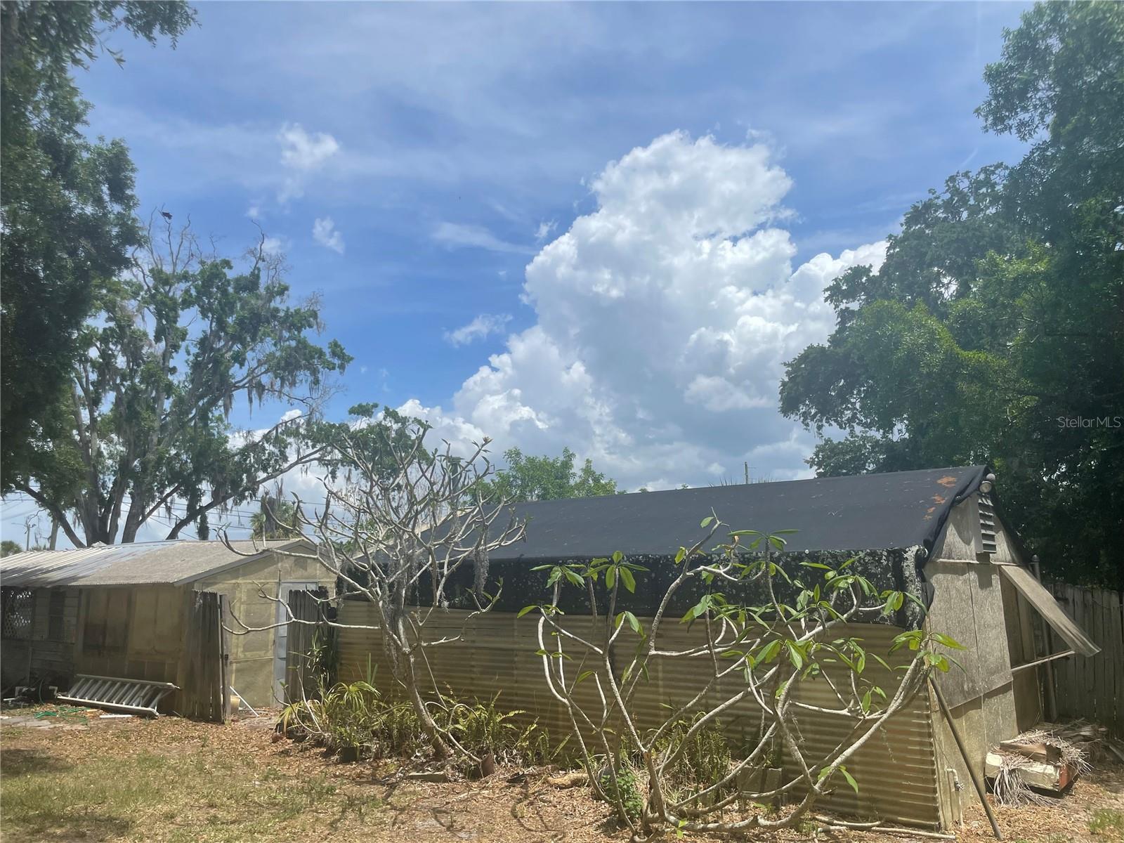 Carport/Greenhouse