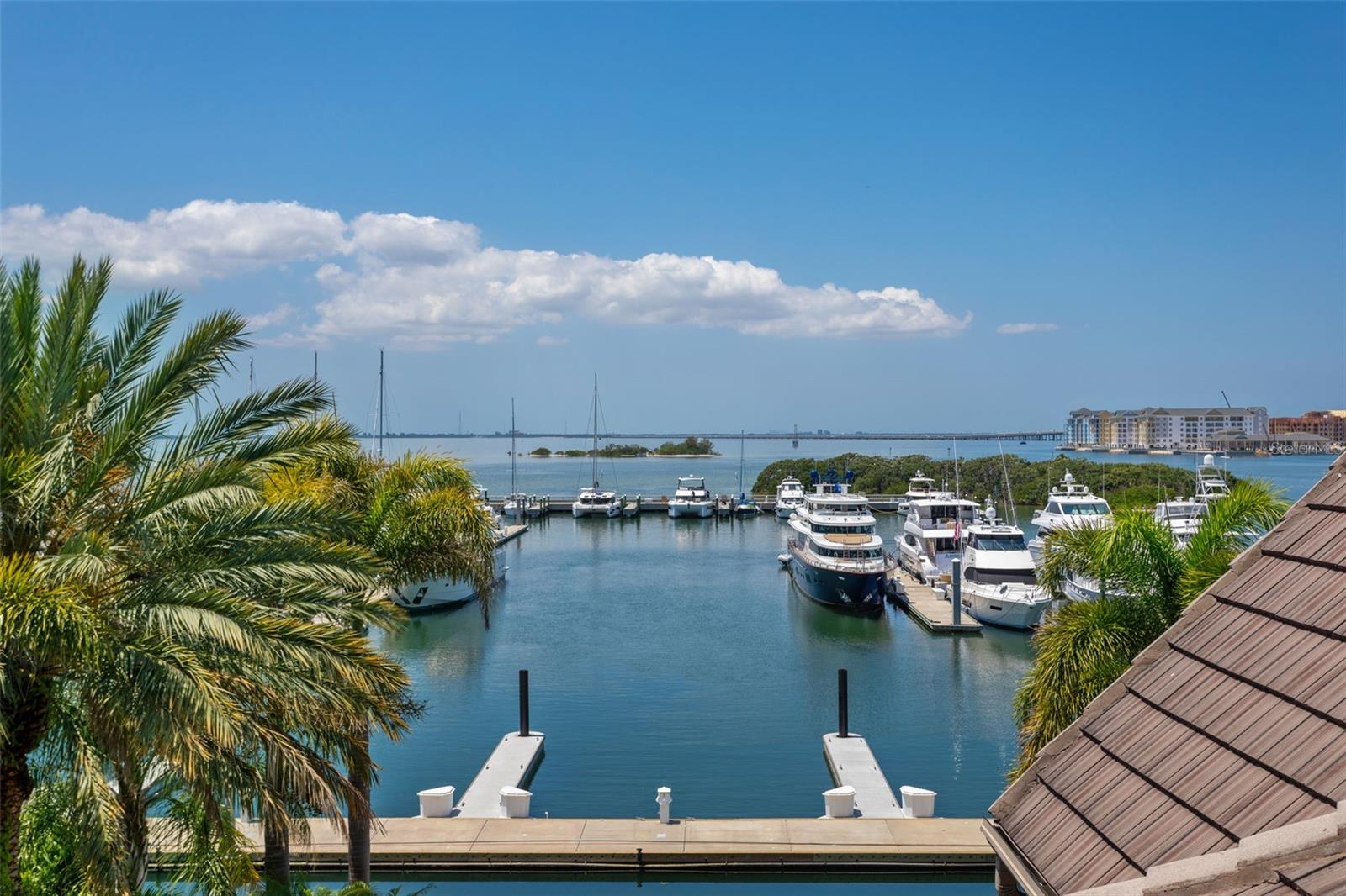 It is common to see dolphin and manatee from the backyard.