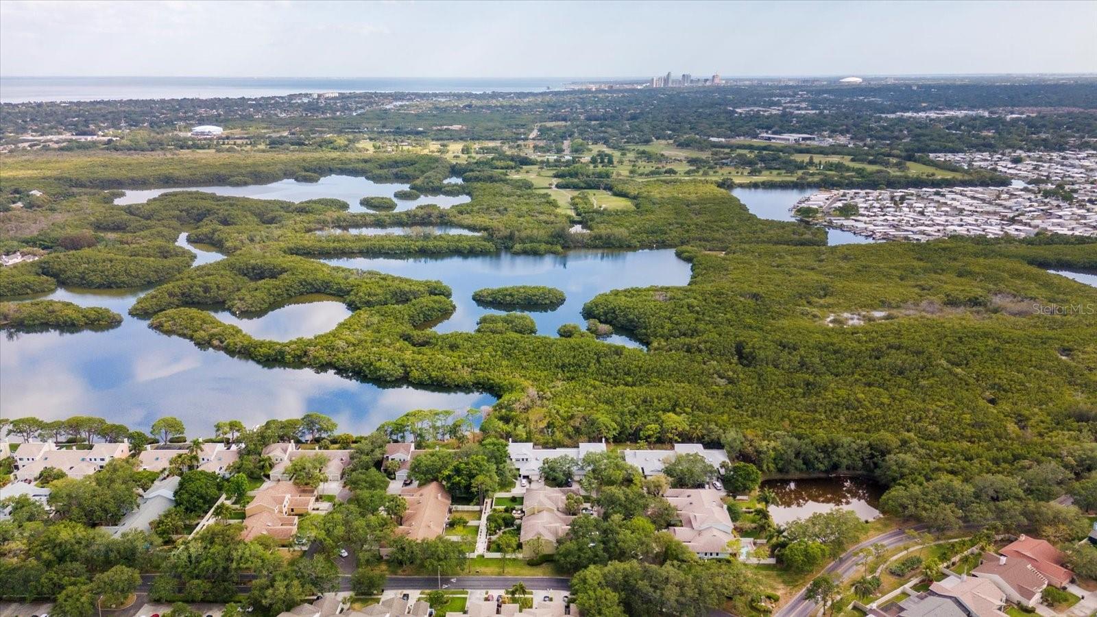 Aerial views of Caya Costa