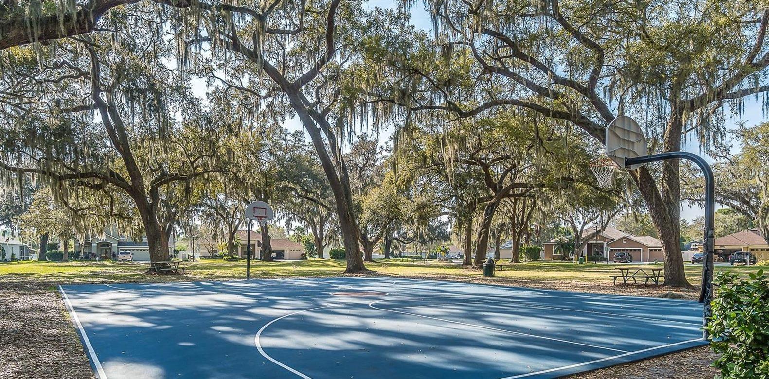 Basketball court