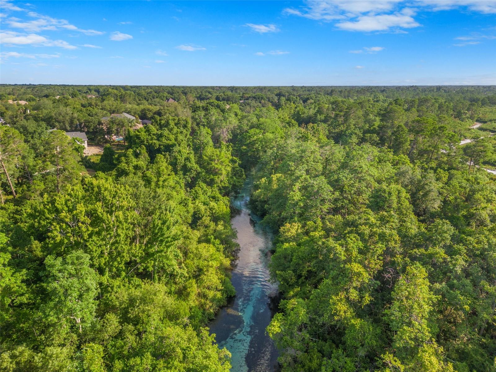 Weeki Wachee river