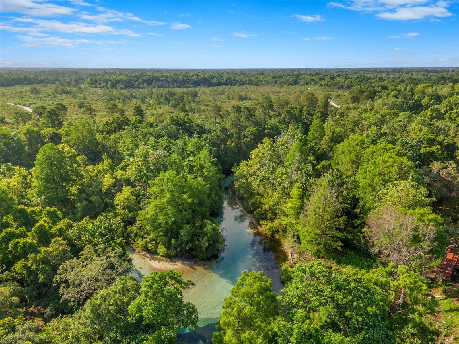 Weeki Wachee river