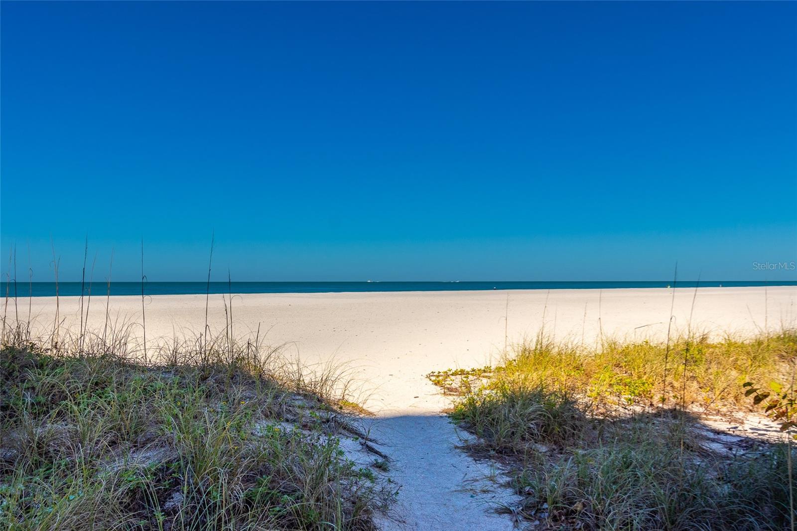 TAKE A DAILY STROLL ON THE PRISTINE BEACH