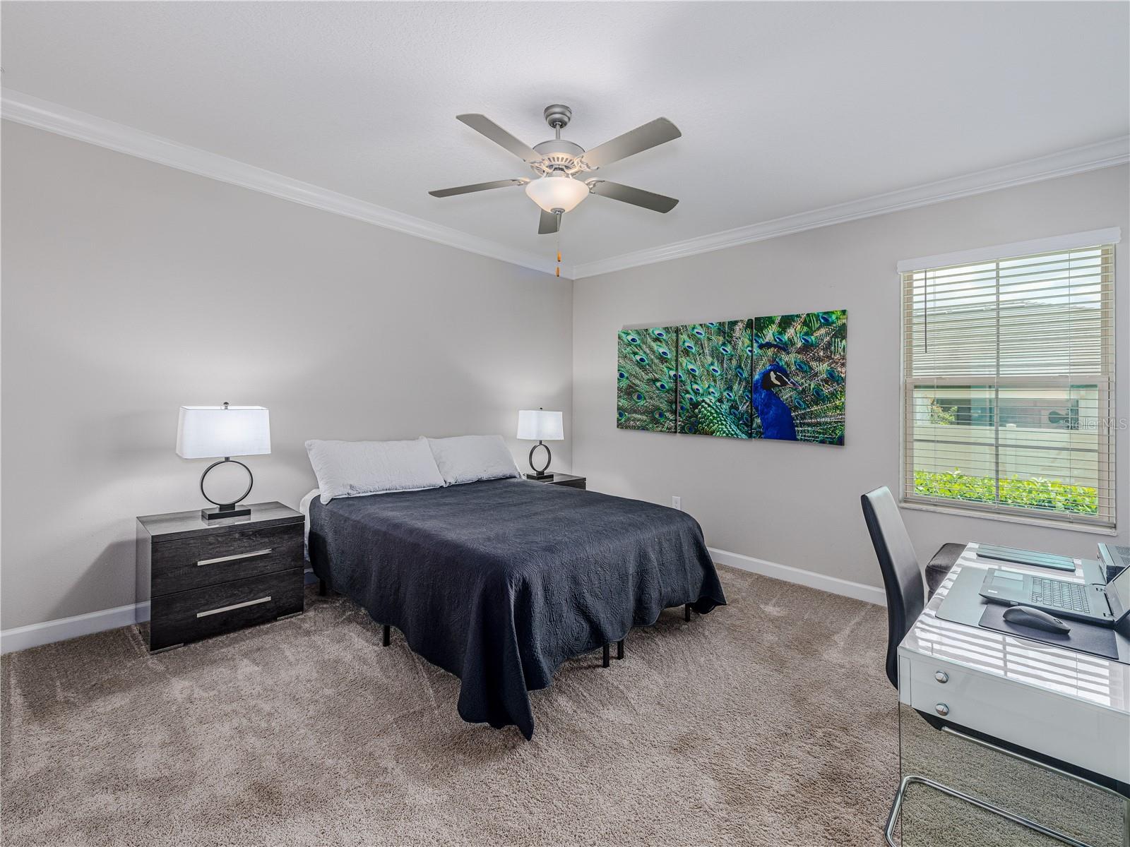 Huge Master Bedroom with Upgraded Ceiling Fan