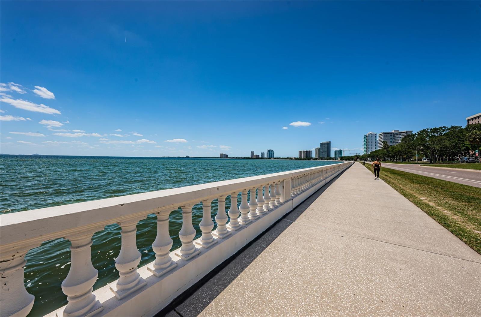 Literally steps out to exercise on Bayshore Boulevard.