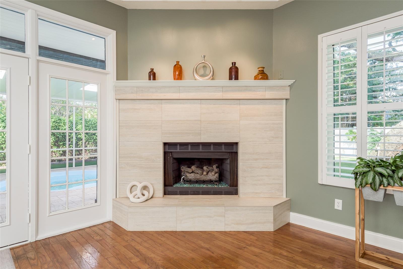Gas or wood fireplace