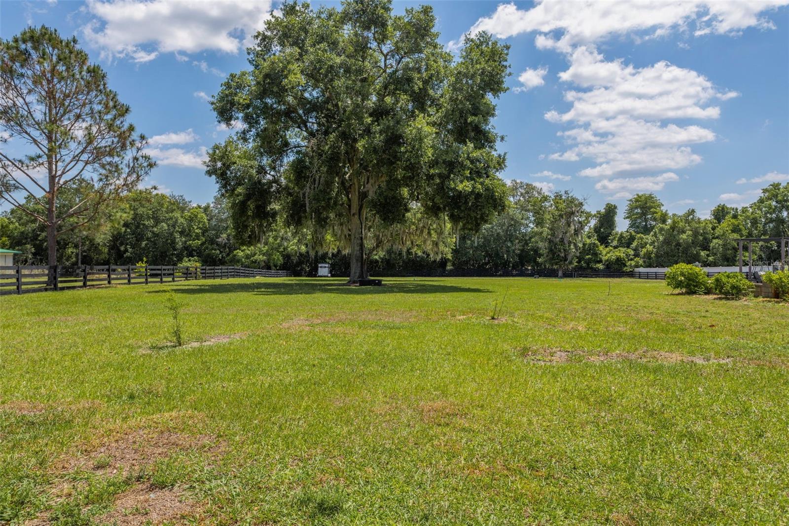 Acreage view from the house