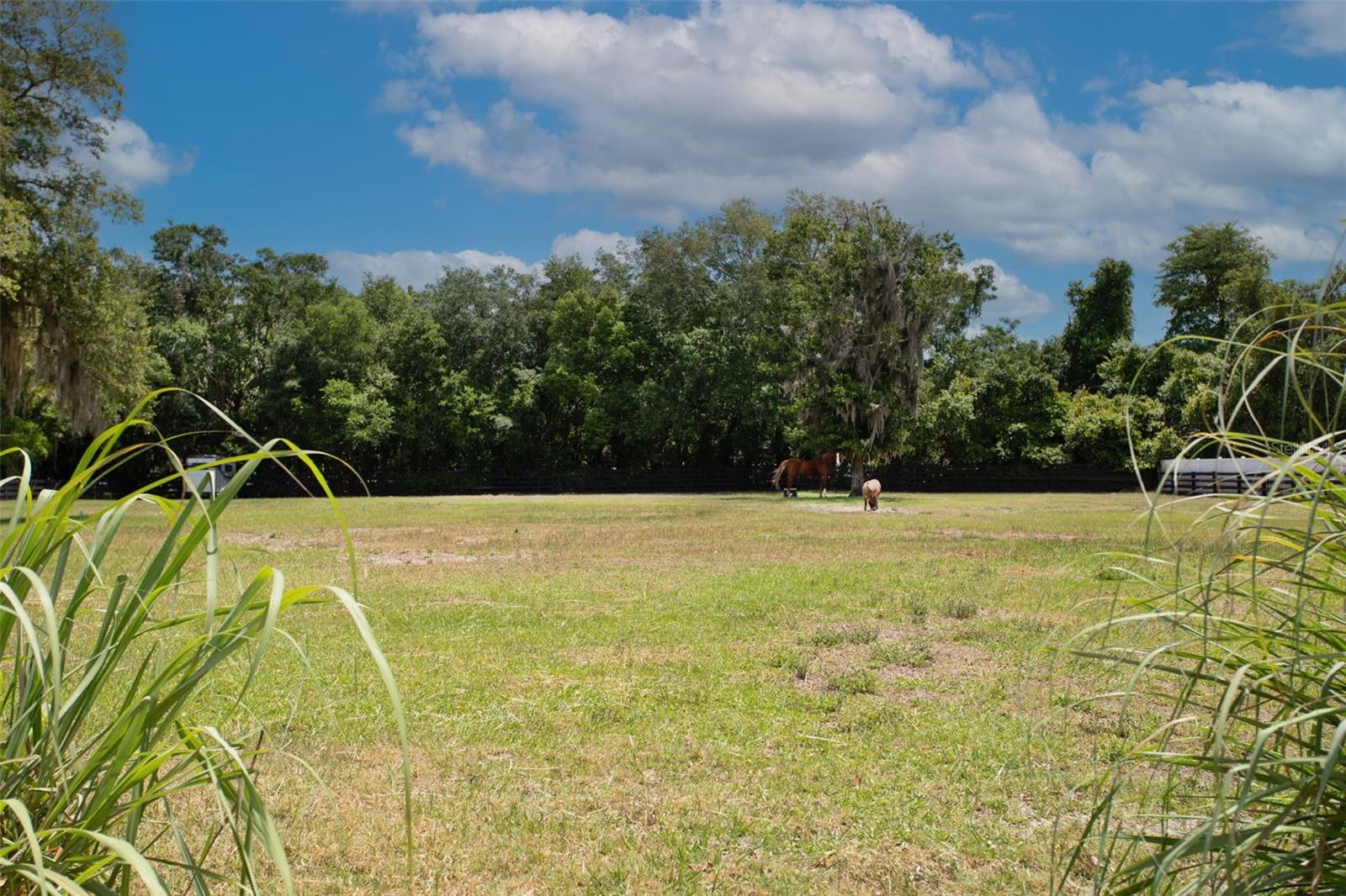 Acreage view from the house