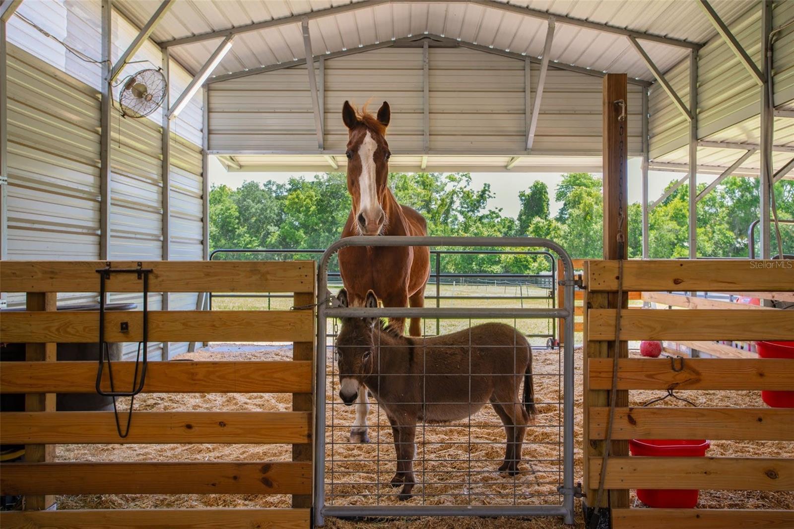 Pole barn attached to double RV garage. Currently used as animal pens, but pull up the rubber pads and wood shavings to reveal concrete pad for auto or RV storage