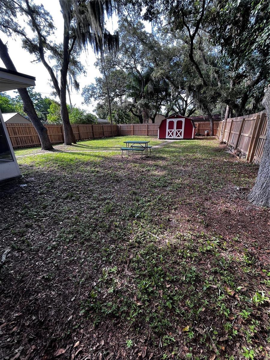 spacious backyard