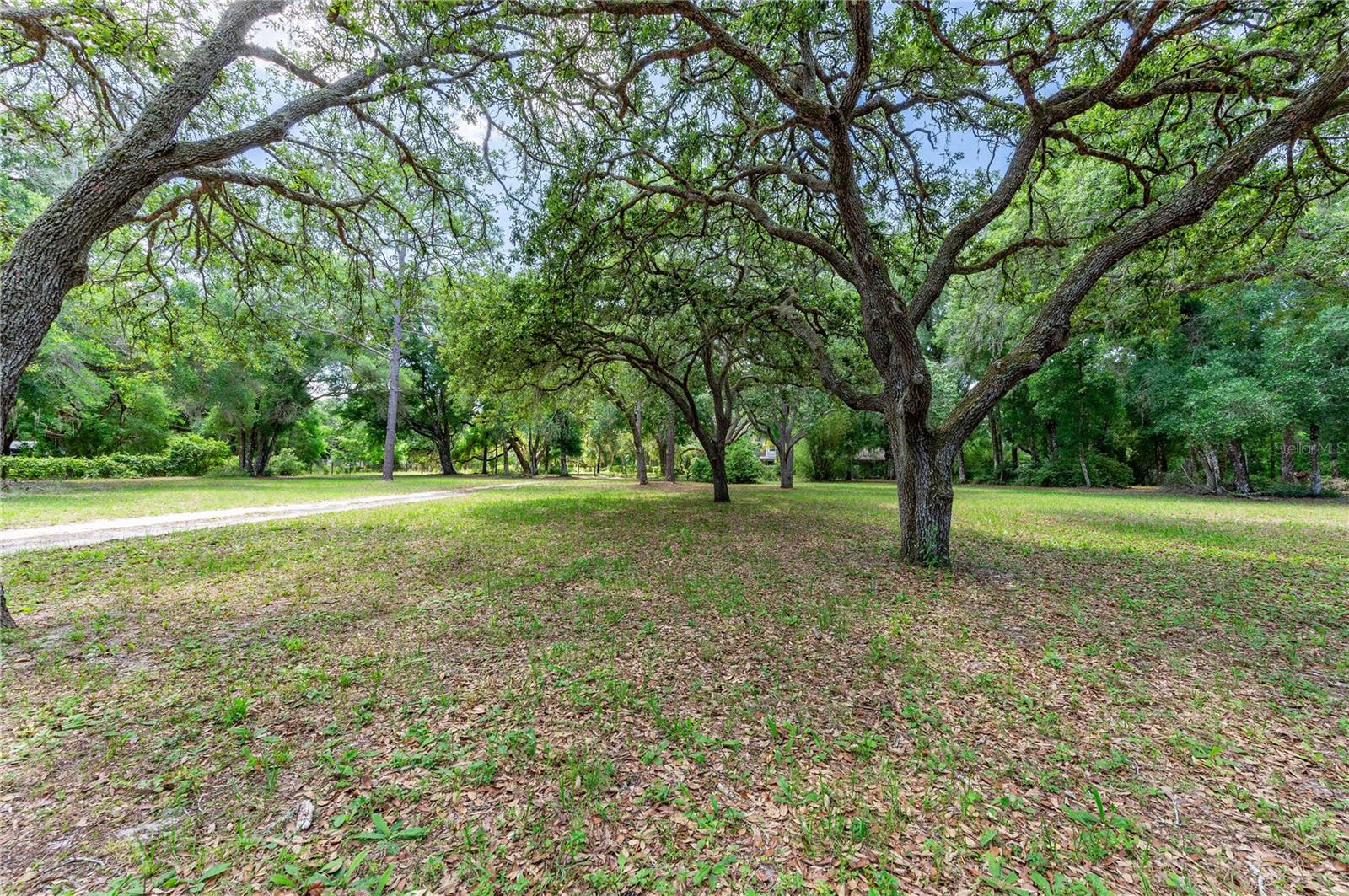 Another view in the front of the Home