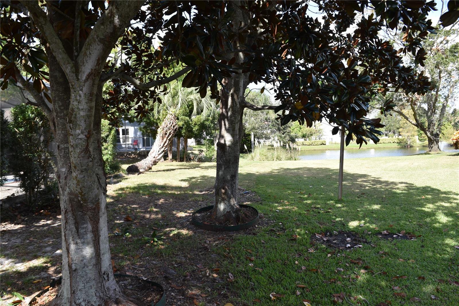 Back yard facing North toward community pond