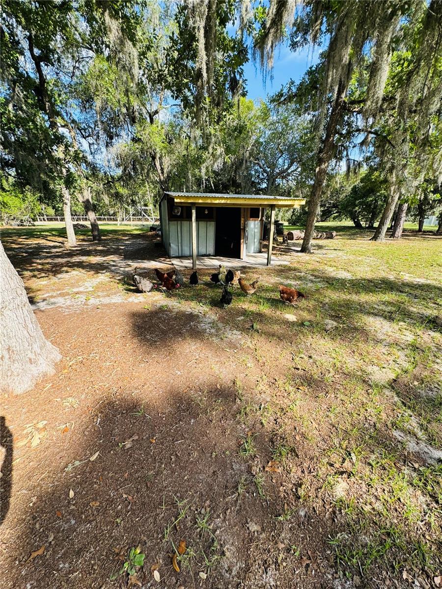 Chicken coop