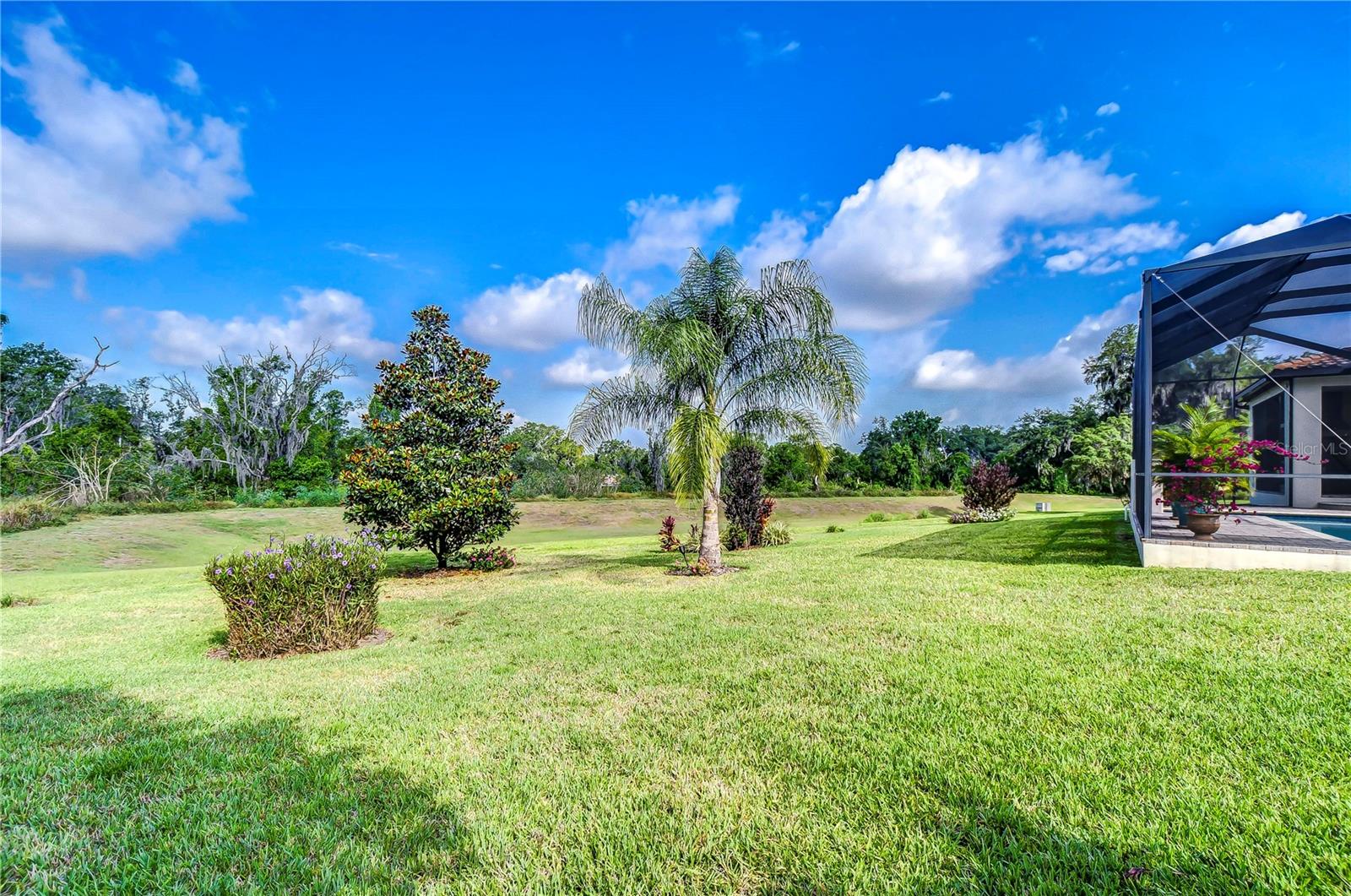 Abundance of space for the kids and pets to play!